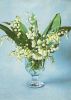 Preview image: Blumen in Glasvase Blumen in Glasvase
