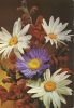 Preview image: Geburtstagsgrüße Blumen Geburtstagsgrüße Blumen
