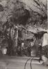 Postojnska Jama - Slowenien - Höhle