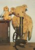 Preview image: Teddy mit Mikroskop Teddy mit Mikroskop