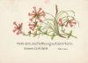 Preview image: Sinnspruch Religion Sinnspruch Religion