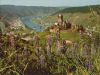 Cochem - Burg und Moseltal