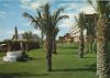 Maspalomas - Spanien - Palmen
