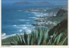 Gran Canaria - Spanien - Banaderos