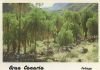 Gran Canaria - Spanien - Fataga