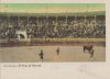 Santa Cruz de Tenerife - Spanien - Plaza de Toros