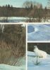 Preview image: Landschaft Winter Landschaft Winter