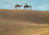 Maspalomas - Spanien - Camellos en las Dunas