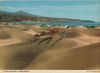 Maspalomas - Spanien - Camels and dunes