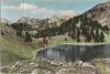 Lac Lioson - Schweiz - mit Gebirge