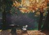 Preview image: Herbst im Park Herbst im Park