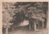 Preview image: Groh - Der Märchenweg - ca. 1940 Groh - Der Märchenweg - ca. 1940
