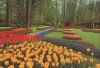 Niederlande - Lisse - Keukenhof - ca. 1985