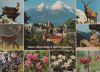 Berchtesgaden - Alpen-Nationalpark - 1980