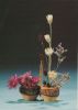 Ikebana Duett