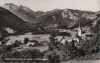 Österreich - Wald im Pinzgau - g.d. Seekar - ca. 1960