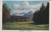 Schweiz - Stockhorn - mit Waldwiese - 1928