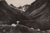 Frankreich - Cauterets - Le Lac de Gaube - 1959