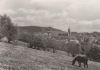 Annaberg-Buchholz - Blick zum Pöhlberg - 1975