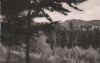 Gehlberg - Blick vom Buch - 1962