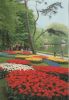 Niederlande - Lisse - Keukenhof - ca. 1985