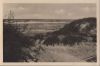 Preview image: Dünen am Meer - ca. 1955 Dünen am Meer - ca. 1955