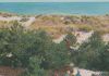 Dänemark - Bornholm - Dünen bei Dueodde - 1977