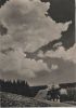 Preview image: Haus unter Wolken in Berglandschaft - 1954 Haus unter Wolken in Berglandschaft - 1954