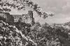 Schloss Heidelberg zur Blütezeit - 1957